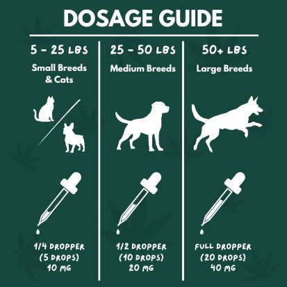 Pet Cbd Tincture